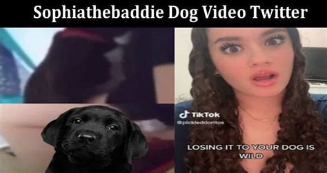 sofia the baddie dog video leaked reddit